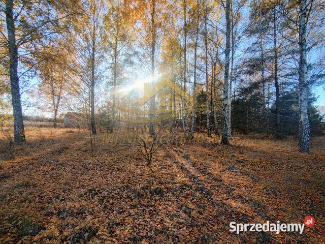sprzedaży działki Żelechów 1277m2