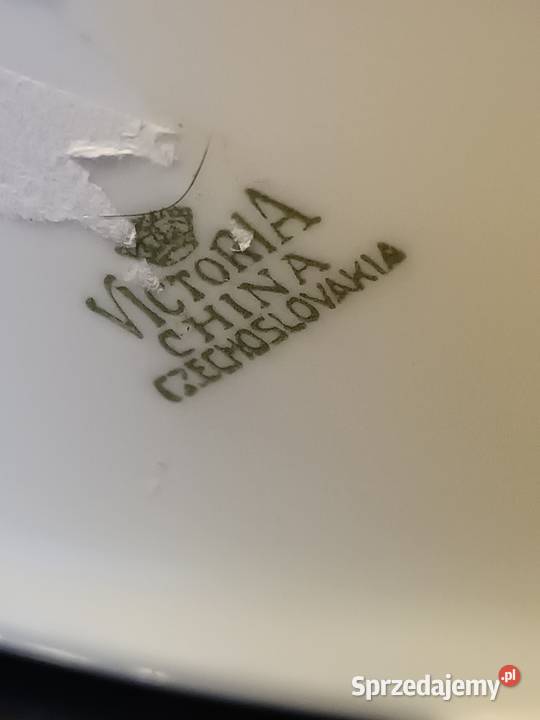 Hollohaza kaczuszka Świętochłowice