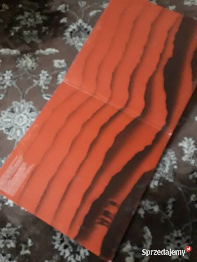 Muzyka niezwykła SKY 2 elektronic progresiv rock 2 płyty Płyty i kasety Rzeszów sprzedam