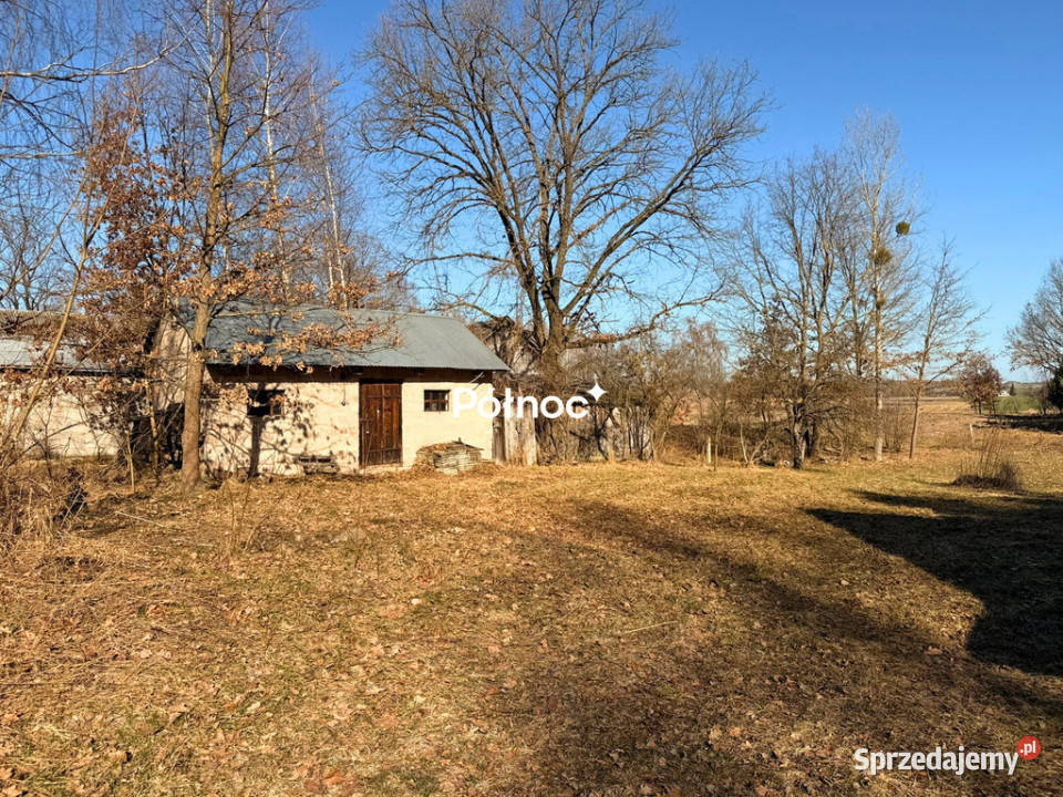 Siedlisko z lasem Ruda Kolonia 5min d0 Ruda-Kolonia