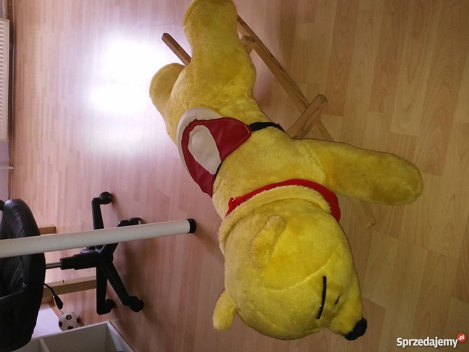 Kubus Puchatek na biegunach Konin