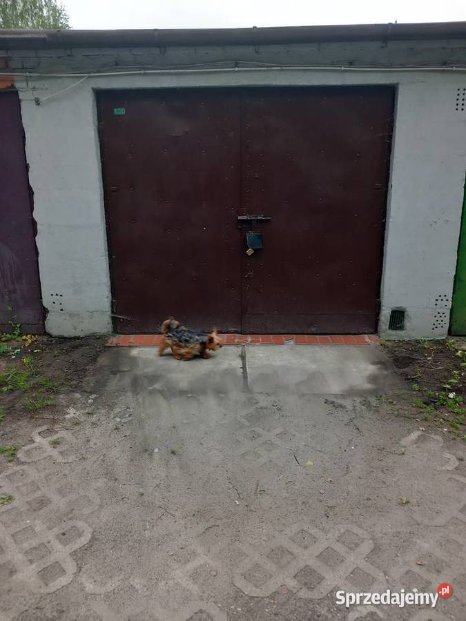 Garaż murowany Sprzedaż Starachowice