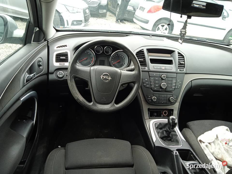 Insignia benzyna Dębe