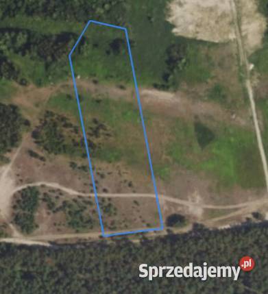 Nadbiel 138 ha rolna asfaltu sprzedam
