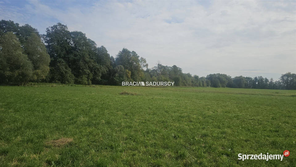 Działka na sprzedaż Cholerzyn 850m2 850m2 małopolskie