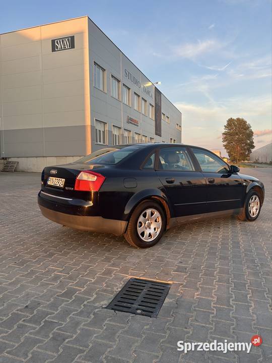 AUDI A4 b6 19 TDI 2003 nieuszkodzony Kamień Kotowy