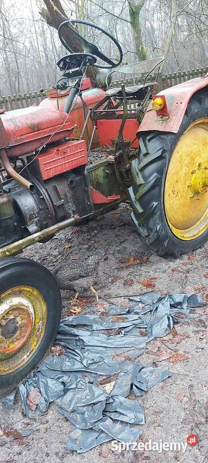 Zetor k 25 Mucharzew