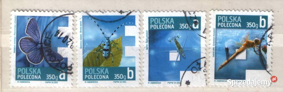 Zn Fi 4447 9 77 80 kas 2013 Gliwice