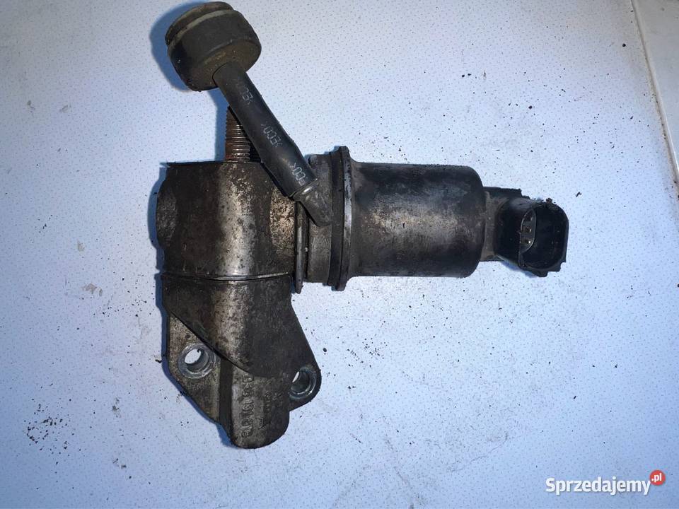 Zawór EGR VW GOLF IV 14 Ostrzeszów