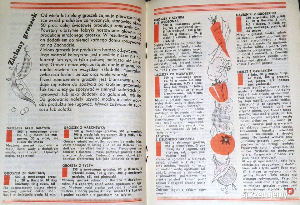 Mrożonkowe ABC Ludmiła Grudowa Chełm