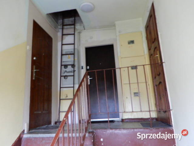 Syndyk sprzeda udział w nieruchomości i udział w Szczecin
