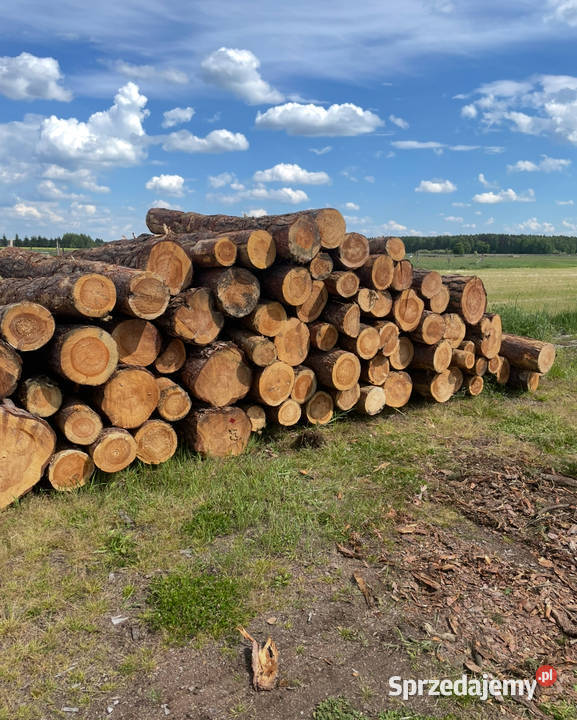 Drewno Opałowe tanio
