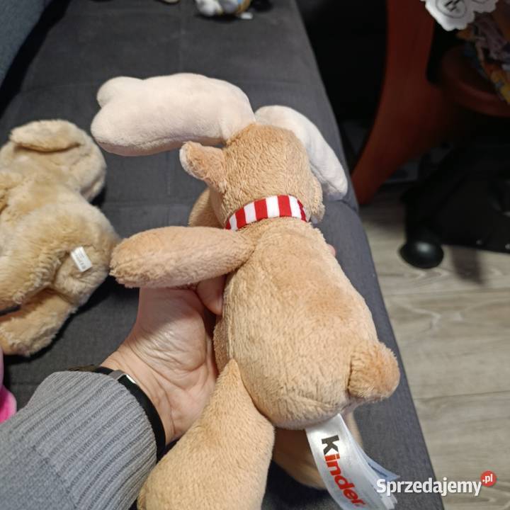 renifer Kinder kolejny wielkopolskie Poznań