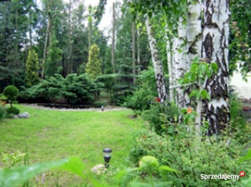 działkę rekreacyjną jeziorem zdworskim mazowieckie