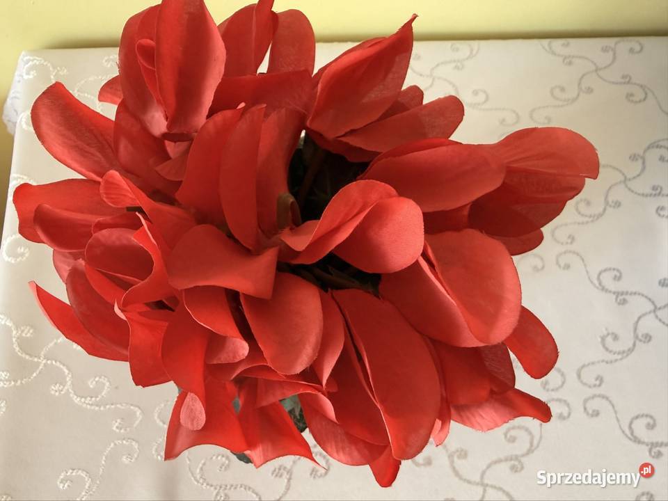 Sztuczny Kwiat Fiołek Alpejski Cyklamen Czerwony Czerwionka-Leszczyny