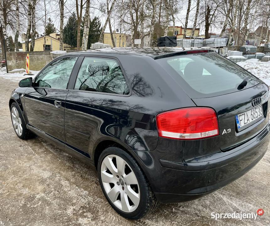 Audi A3 16 benzynaLPG 2004rklimaalufelgi 19super Rok produkcji 2004 Słupsk