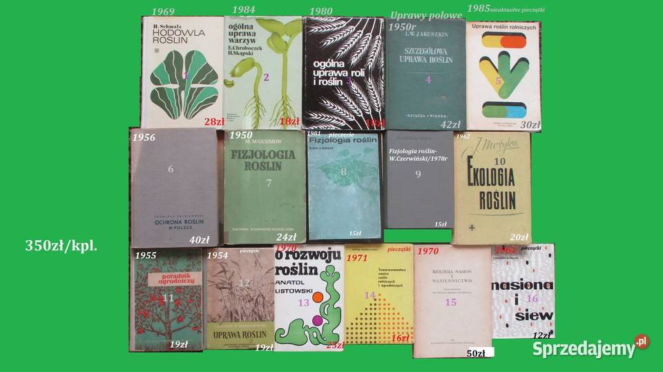 ogrodnictwo nasiona sadownictwo warzywa nawozy Kultura i Rozrywka