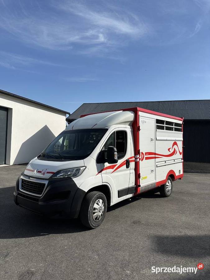 Bydlarka peugeot boxer Nowy Targ