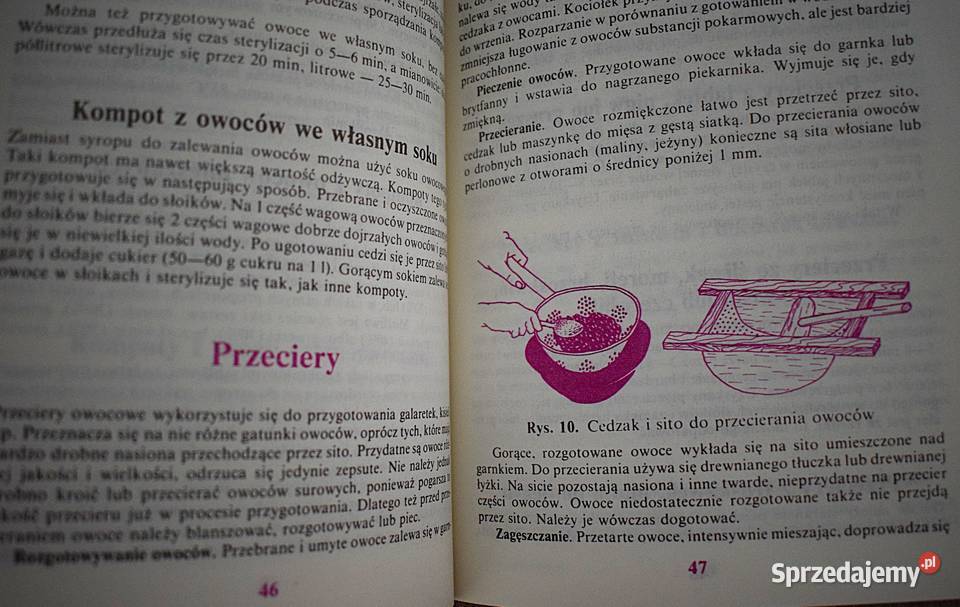 Domowe przetwory z owoców i warzyw kujawsko-pomorskie