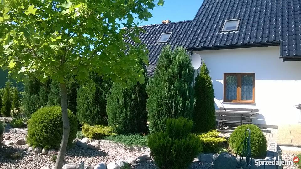 Sprzedam dom Łosino