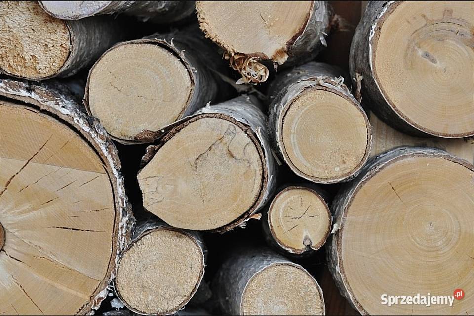 Suche sezonowane drewno opałowe kominkowe mazowieckie Leokadia sprzedam