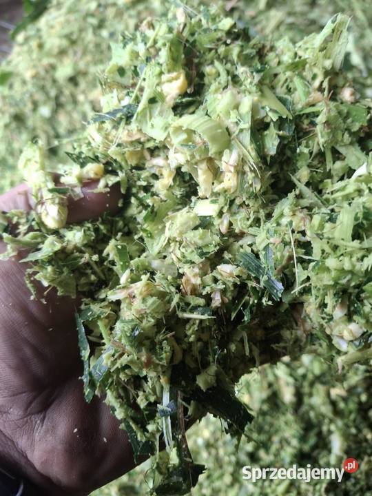 Sieczkarnia jednorzędowa Pottinger Mex II S Korzenna