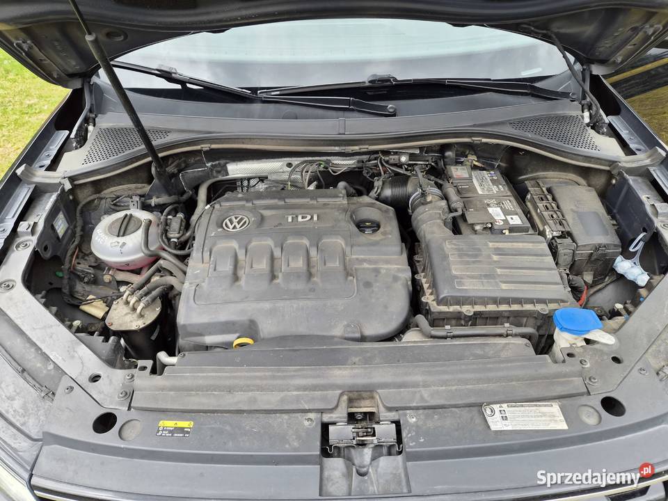 Volkswagen Tiguan 20 TDI 190 4MOTION DSG lubuskie Pław