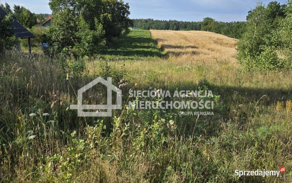 Grunt Skrzeszewo 1142m2