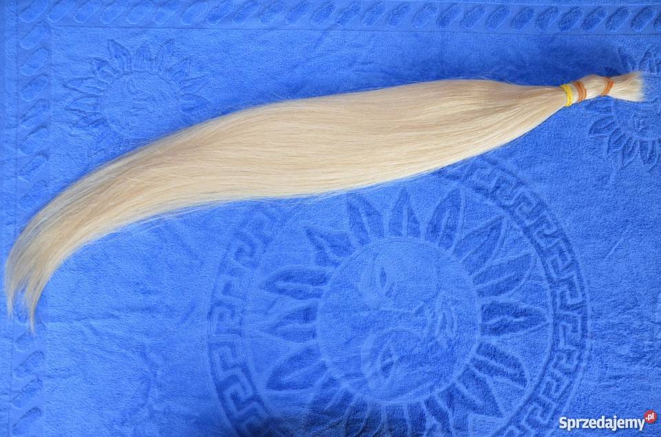 Włosy słowiańskie i dziewicze 114 g 65 Wrocław