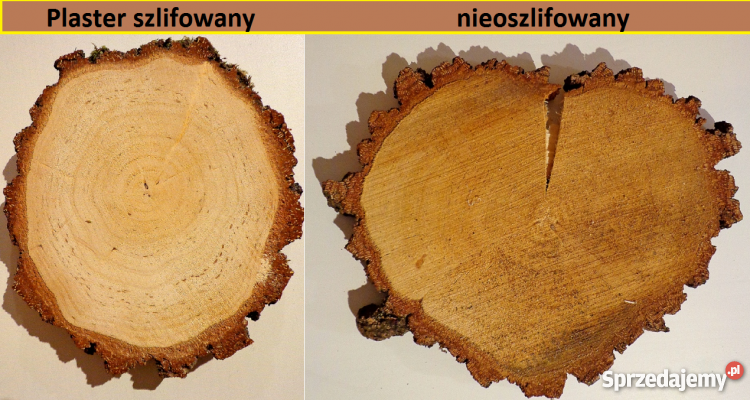 Plastry drewniane brzoza 3032 szlifowane duży odcienie brązowego śląskie