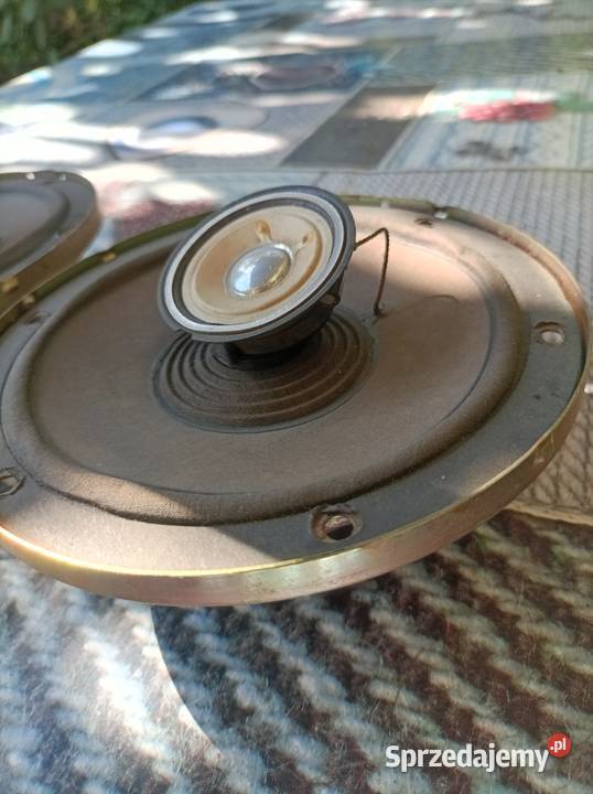 Pioneer TS1613 głośniki do auta Japan retro Pozostałe mazowieckie Płock