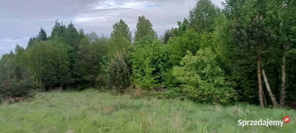 Sprzedam działkę rekreacyjną częściowo zalesioną podkarpackie Błażkowa
