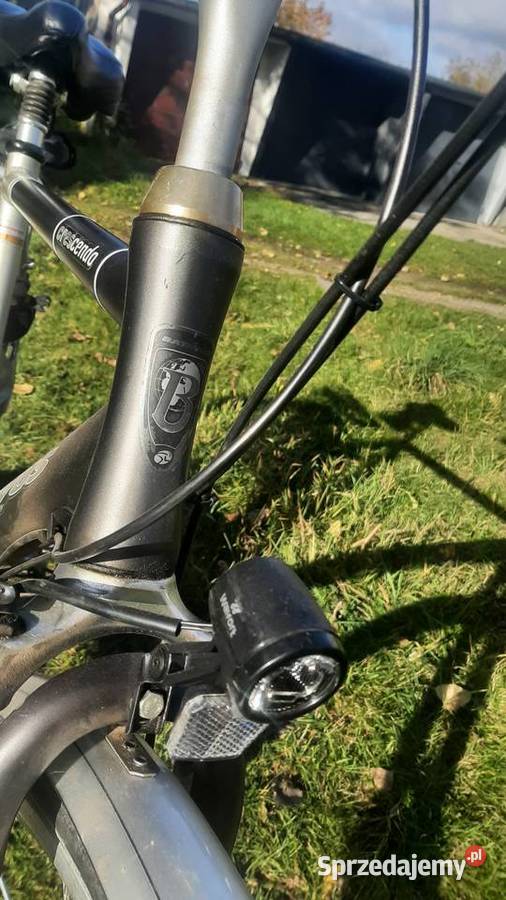 Rower Batavus męski śląskie Sosnowiec sprzedam