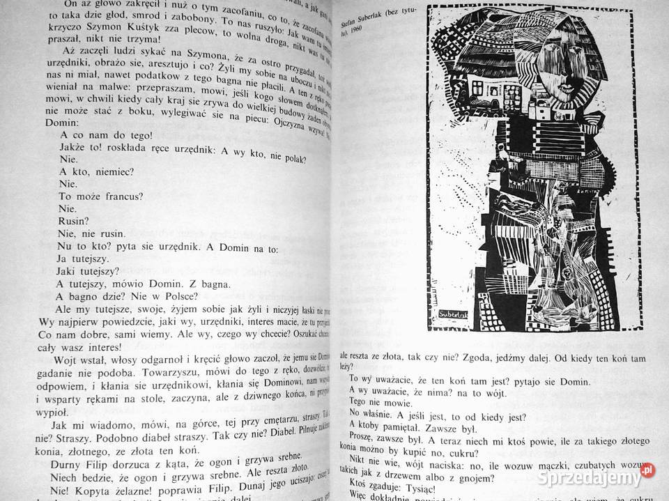 Język polski kl 3 ZDZ Janina Dietrich Chełm