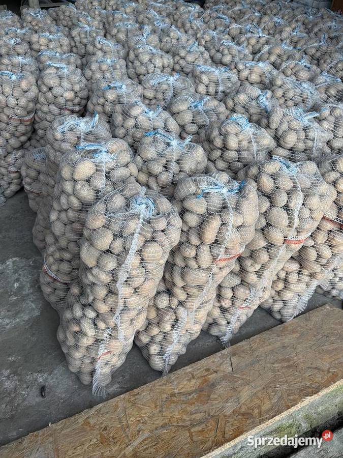 Ziemniaki Irga worki 15 Błonie