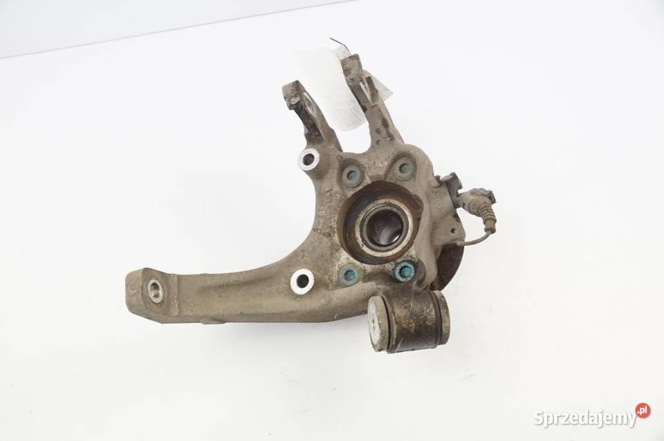 PHAETON PIASTA LEWA TYŁ Lipno