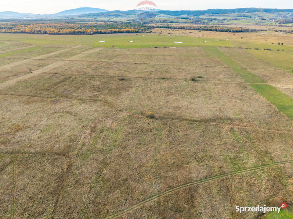 Działka rolna w Czarnym Dunajcu rolna Czarny Dunajec
