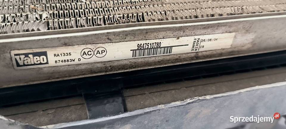 PAS PRZEDNI PEUGEOT 206 9647510780 osobowe kujawsko-pomorskie