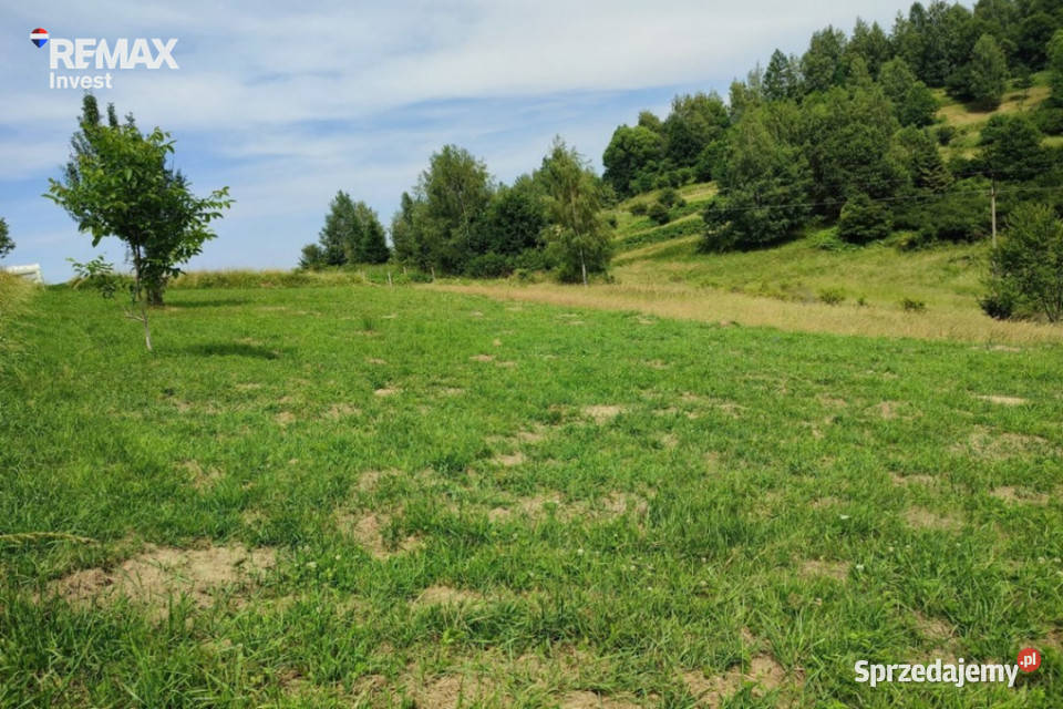 Widokowa perełka budowlana 8 arów Mutne Sprzedaż