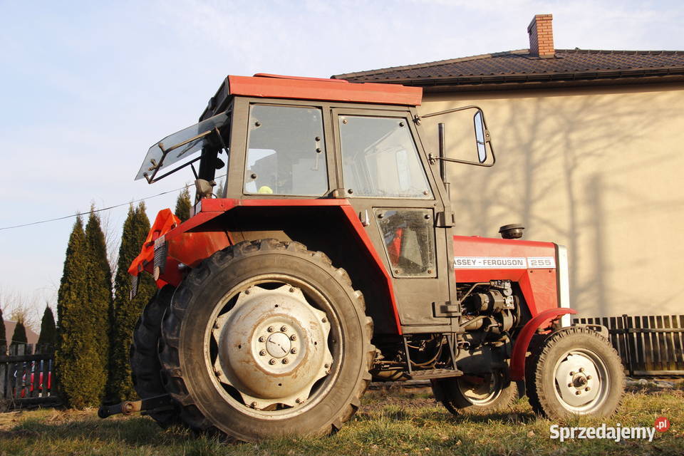 Ferguson MF 255 235 kabina export wspomaganie Zwoleń