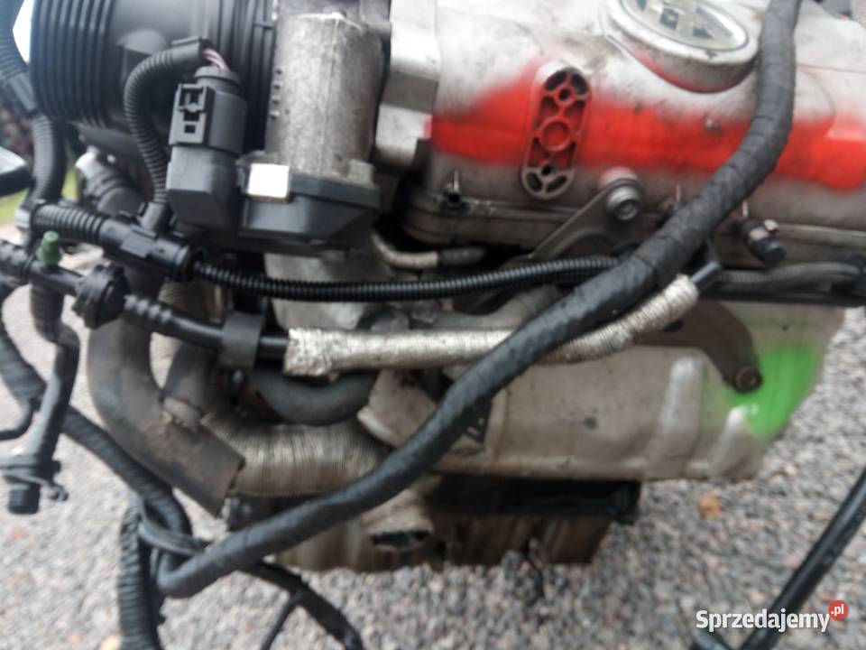 Silnik VW 32 FSI V6 2006r AXZ Suchedniów sprzedam