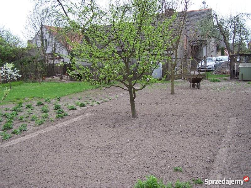 Sprzedam dom wolnostojący we Wronkach 2273zł/m2 wielkopolskie Wronki