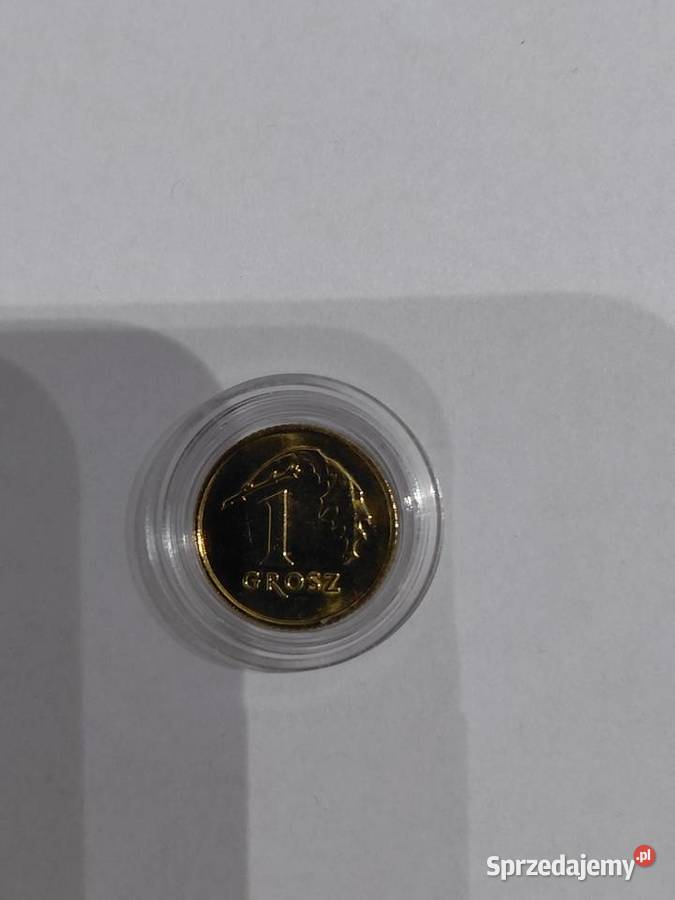 1 gr 2017 stan I