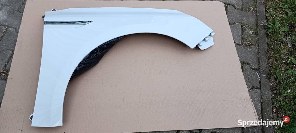 Przedni błotnik MEGANE 4 kod lakieru DV369 Błotniki