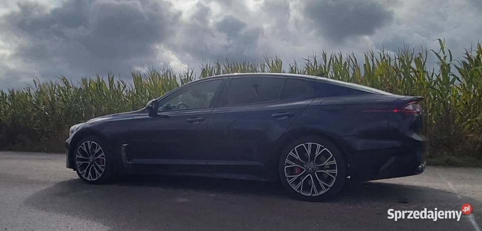 Kia stinger 33 benzyna awd 4x4 2020 Radzyń Podlaski