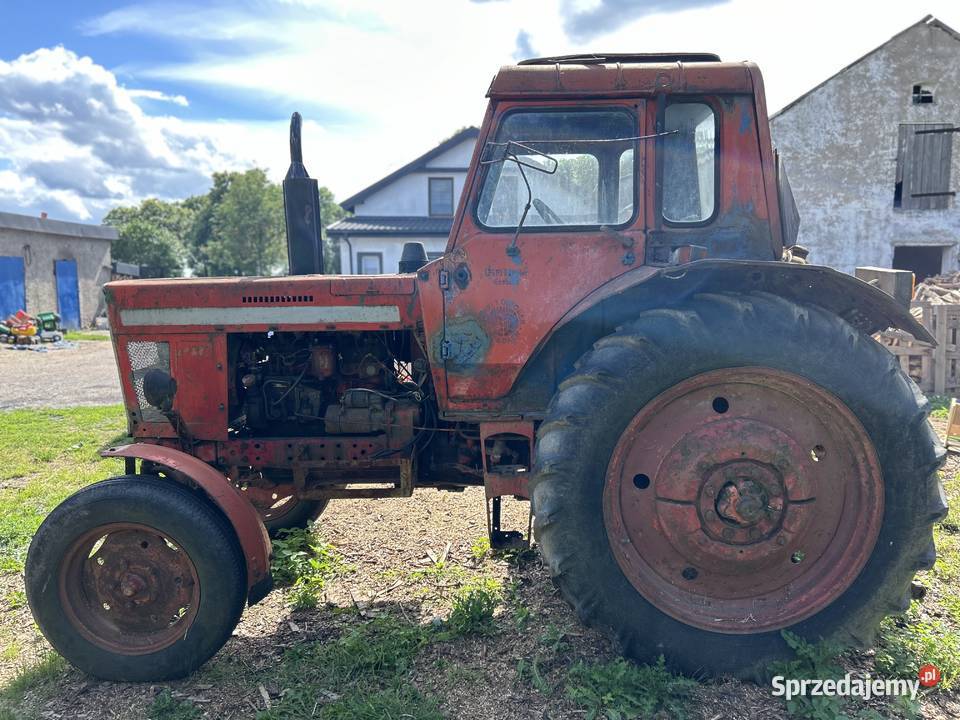 MTZ 50 Kowalewo Pomorskie