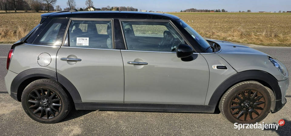 Mini Cooper Heading street II 2006 1499cm3 Pleszew