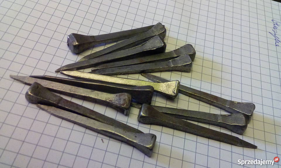 Gwoździe do podków Podkowiaki Sonina