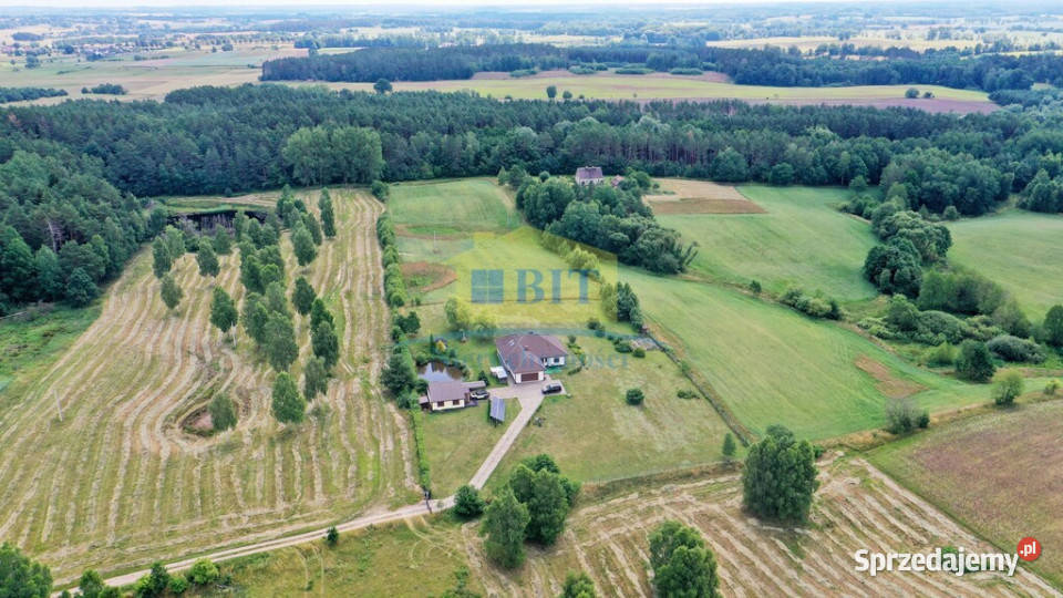 Działka 5800m2 pod lasem wydane warunki zabudowy Płocie sprzedam