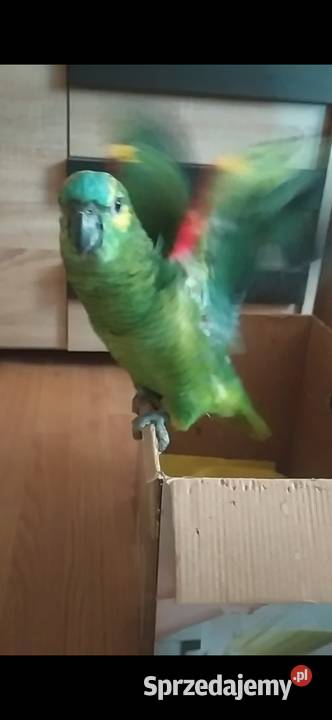 Amazon Rydułtowy
